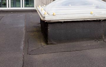disadvantages of Laigh Fenwick flat roofs
