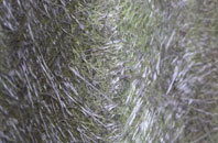 Laigh Fenwick fibreglass roof work